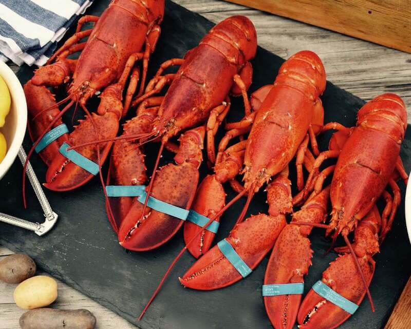 lobster shop image
