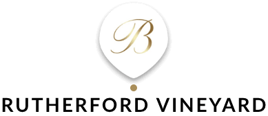 Rutherford Vineyard