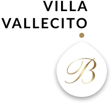 Villa Vallecito Vineyard